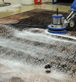 Professional rug cleaning with a rotary floor machine and shampoo foam, deep-cleaning an area rug {city}, {state}.